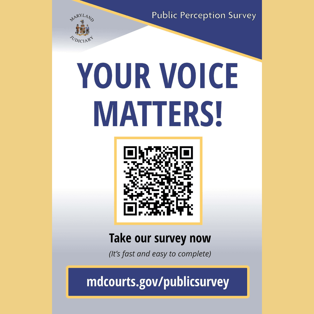 PUBLIC PERCEPTION SURVEY